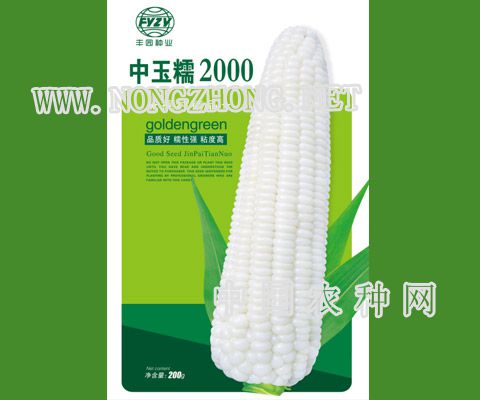  中玉糯2000